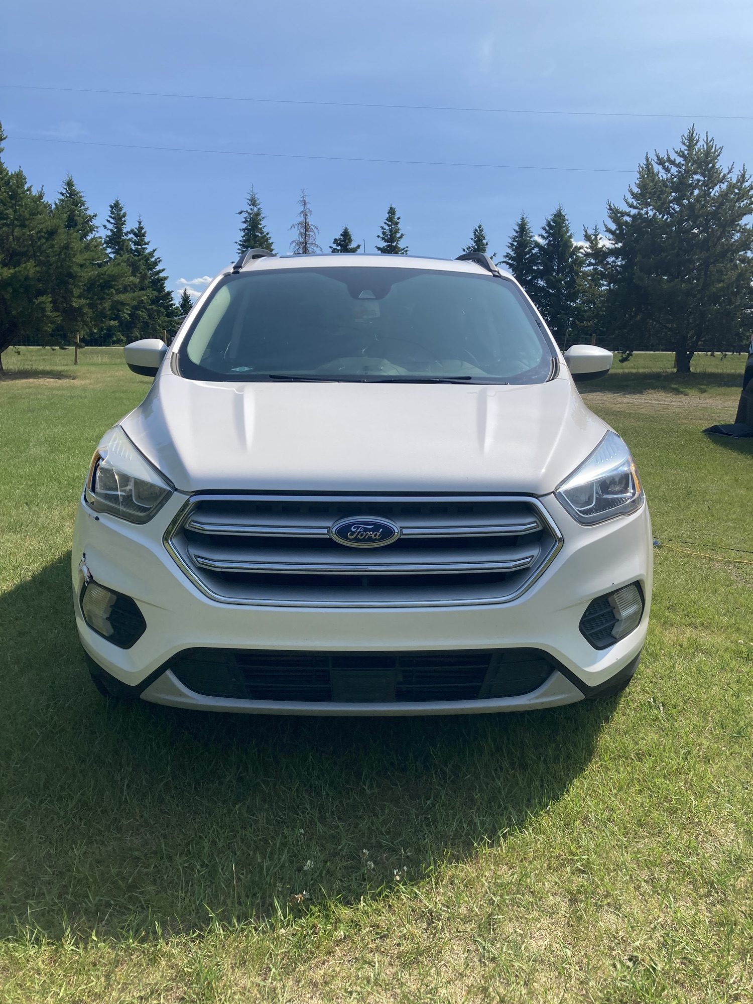 Bug amd tar removal and detail